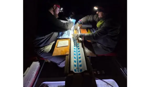 wireready_12-17-2025-10-30-52_05329_agfc121525