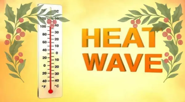 wireready_12-28-2025-14-30-17_05480_christmasheatwave