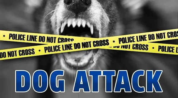 wireready_01-08-2026-13-20-05_03212_dogattack