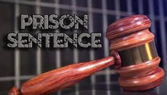 wireready_02-04-2026-12-40-12_05275_prisonsentence