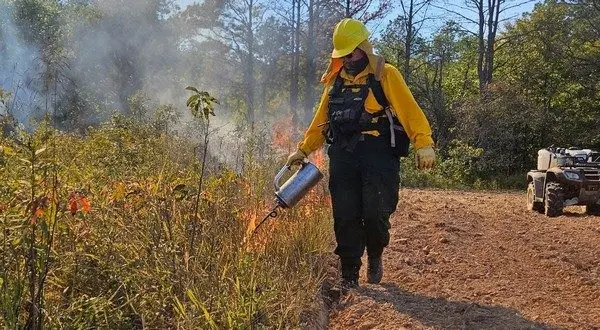 wireready_02-05-2026-10-30-27_05321_agfcburns