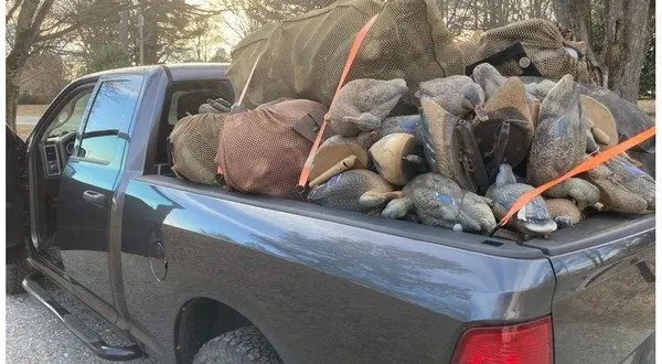 wireready_02-07-2026-11-50-05_05366_agfcdecoysmain