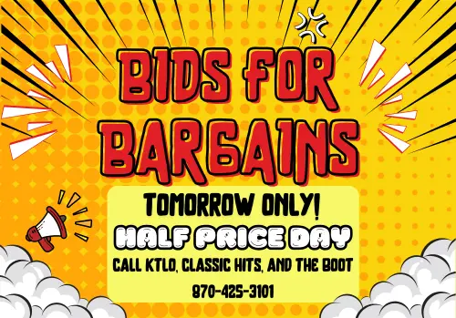 bids-for-bargains-12-price-day-slider