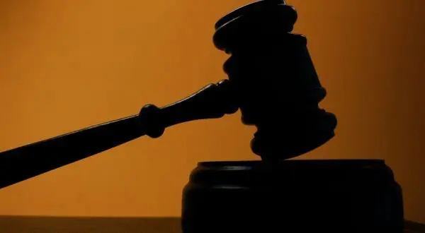 wireready_02-11-2026-11-10-05_06470_courtgavel