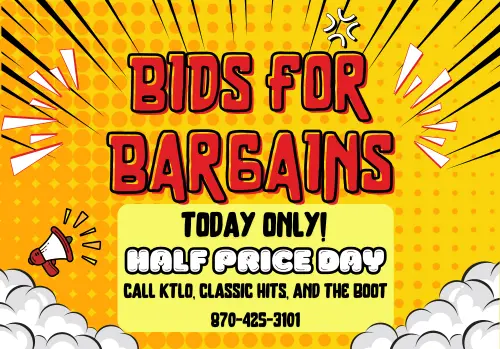 bids-for-bargains-12-price-day-slider-1