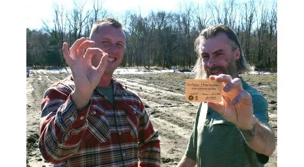 wireready_02-12-2026-20-40-05_05320_diamond021226main