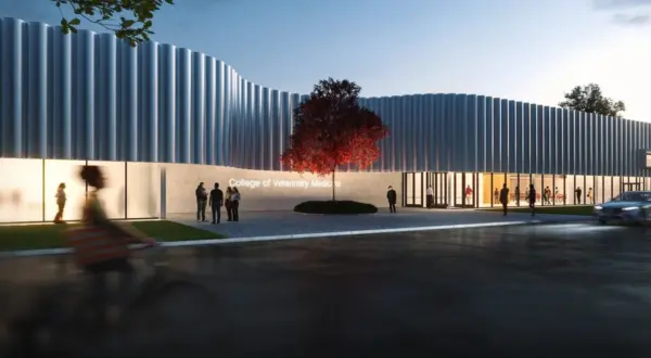 wireready_02-14-2026-14-20-06_05351_astatevetschool