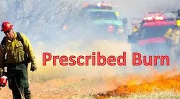 wireready_02-20-2026-11-30-07_06678_prescribedburn