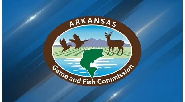 wireready_02-21-2026-10-30-06_06698_agfcstock