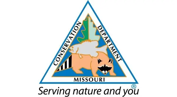 wireready_03-01-2026-11-10-12_06760_mdc