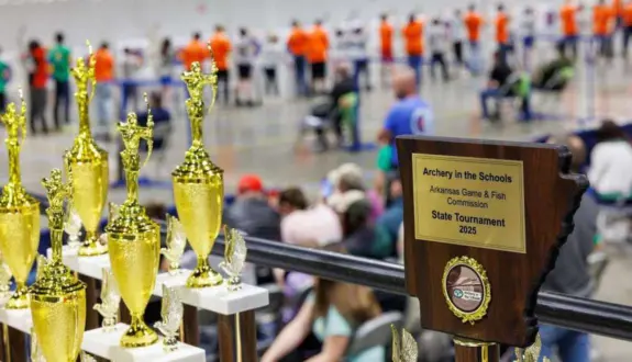 wireready_03-06-2026-11-40-13_06752_trophies