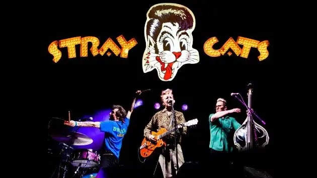 m_straycats_1028252028129568544