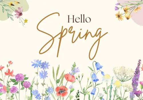 pastel-illustrated-hello-spring-facebook-post