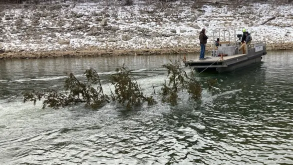 wireready_03-19-2026-10-30-44_00230_bennettsbayoutree