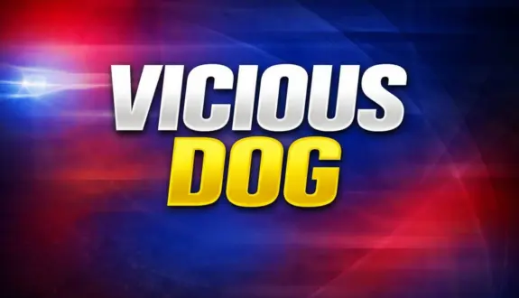 wireready_03-24-2026-12-20-06_06023_viciousdog