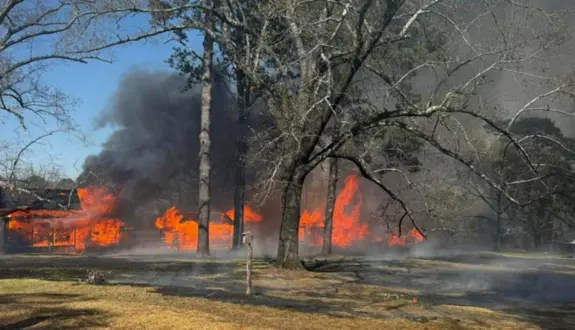 wireready_03-25-2026-12-10-06_06033_wildfires