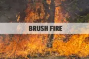 wireready_04-04-2026-10-20-17_07651_brushfire