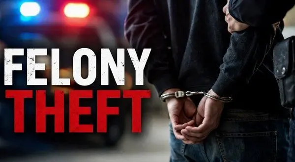 wireready_04-06-2026-21-20-15_06133_felonytheft