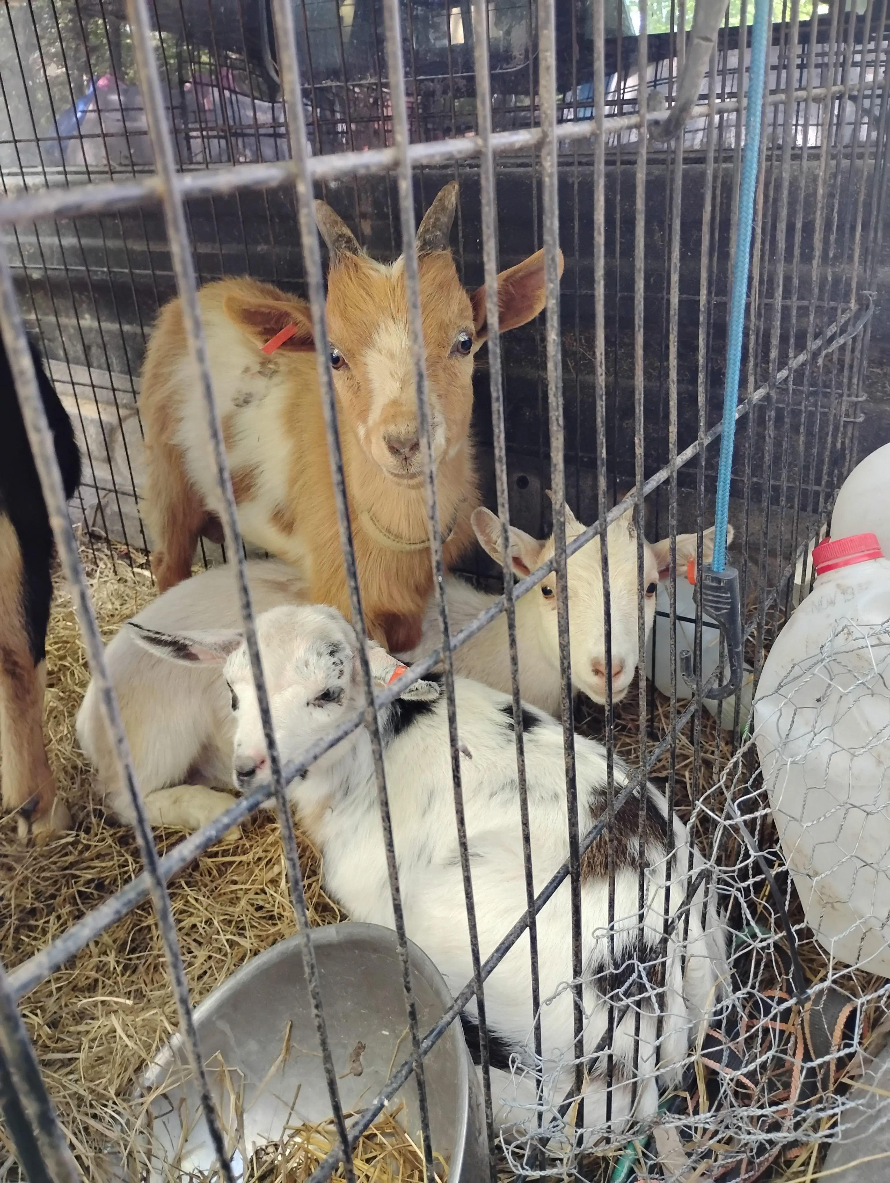 img_20260421_164127485