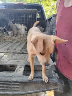 img_20260421_184645023_hdr