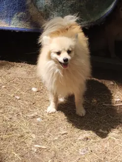 img_20260422_125417268