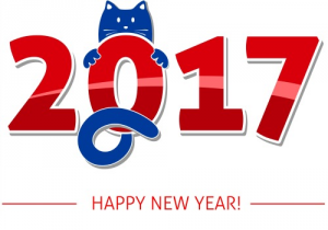 new years cat 500x350