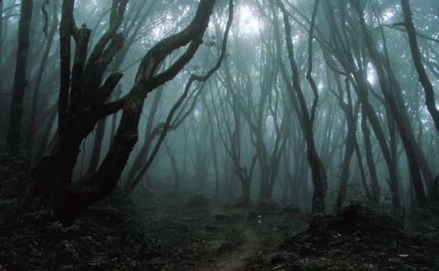 haunted-forest-2