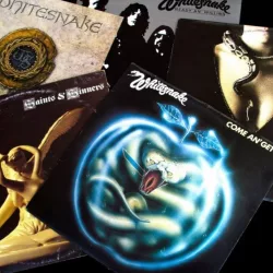 Collection of old vinyl records of rock group Whitesnake/ product shot