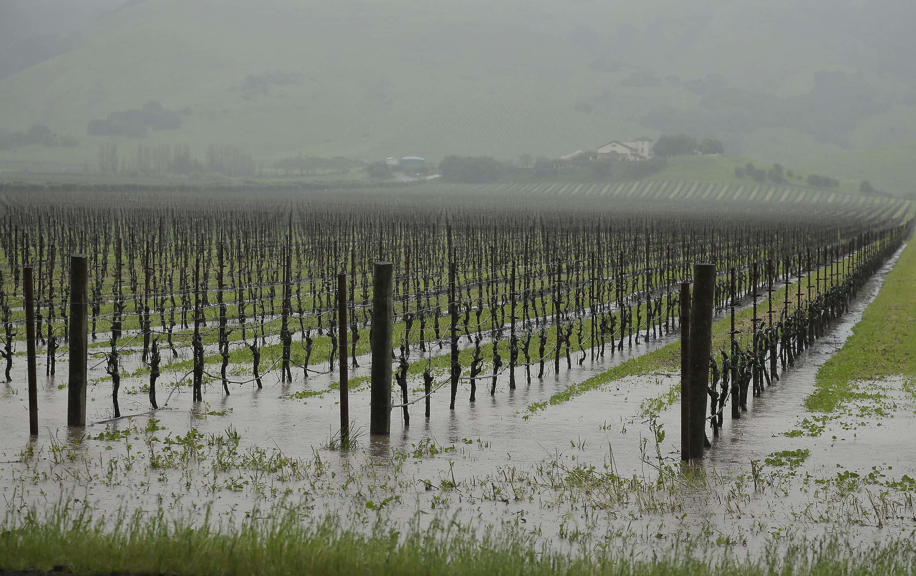 With Yesterday's Rain Santa Rosa Breaks Previous Rainfall Record KSRO