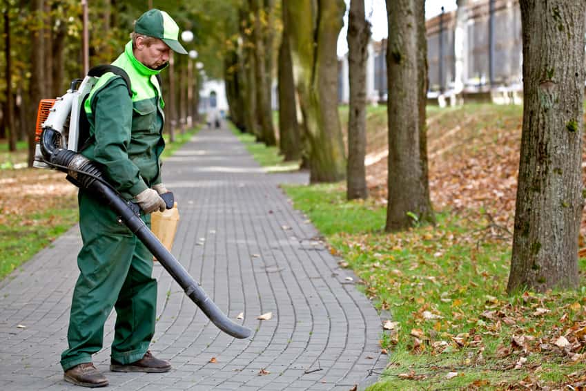 landscaper-removing-dead-leaves-using-leaf-blower