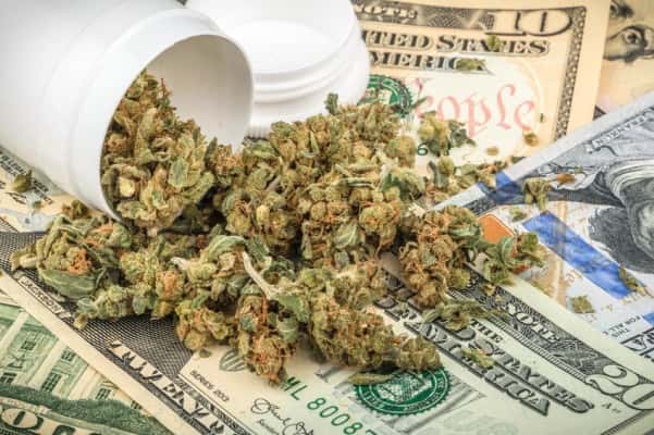 marijuana-buds-on-money