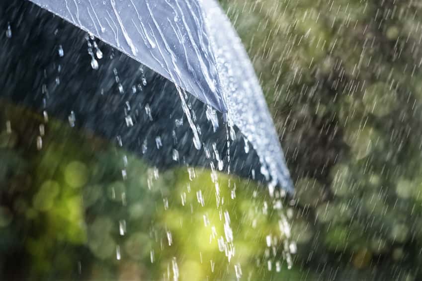 rain-on-umbrella