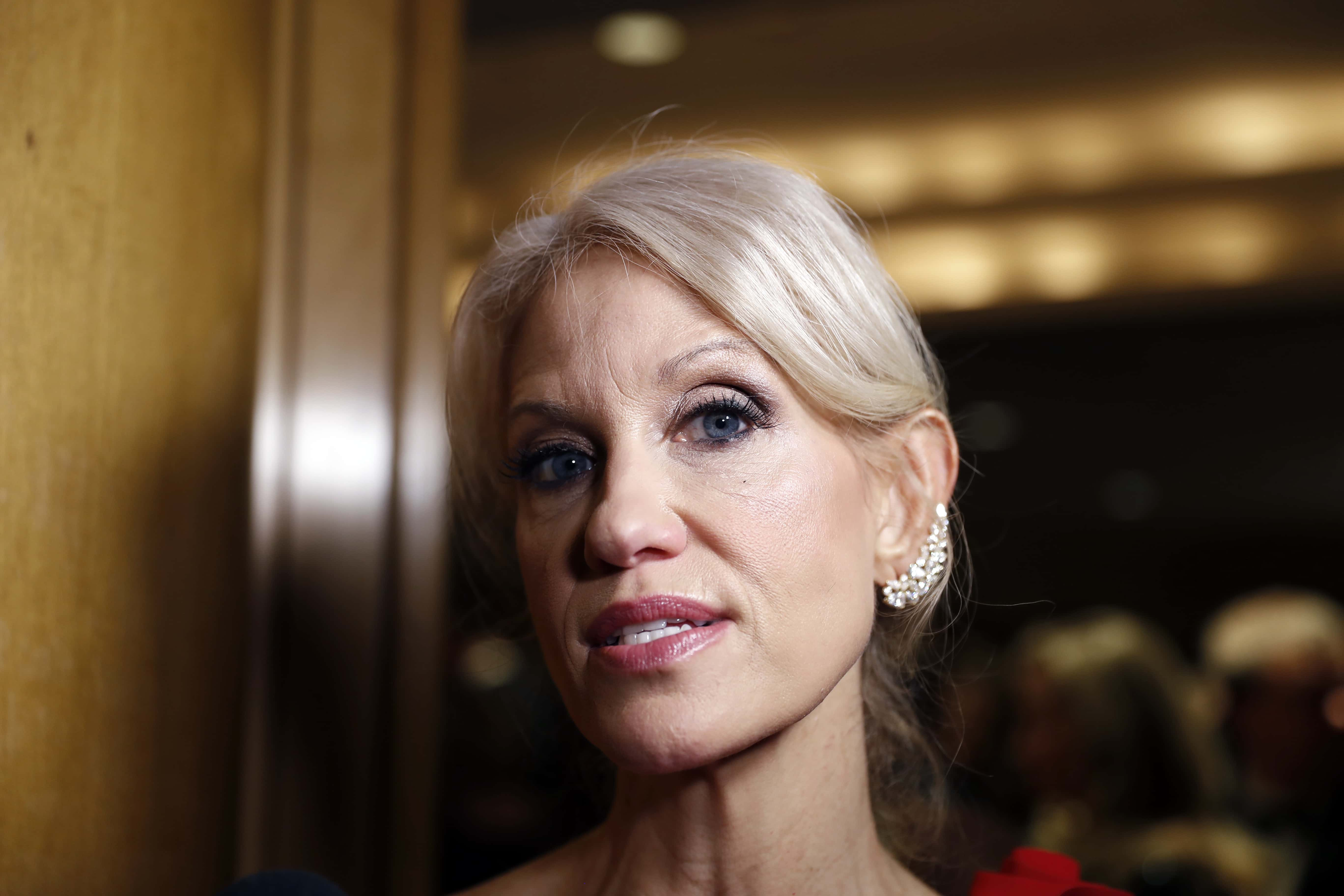 Kellyanne Conway Promotes Ivanka Trump's Fashion Line During Interview ...