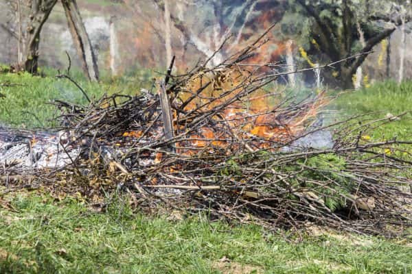 cheltenham township burning garden waste