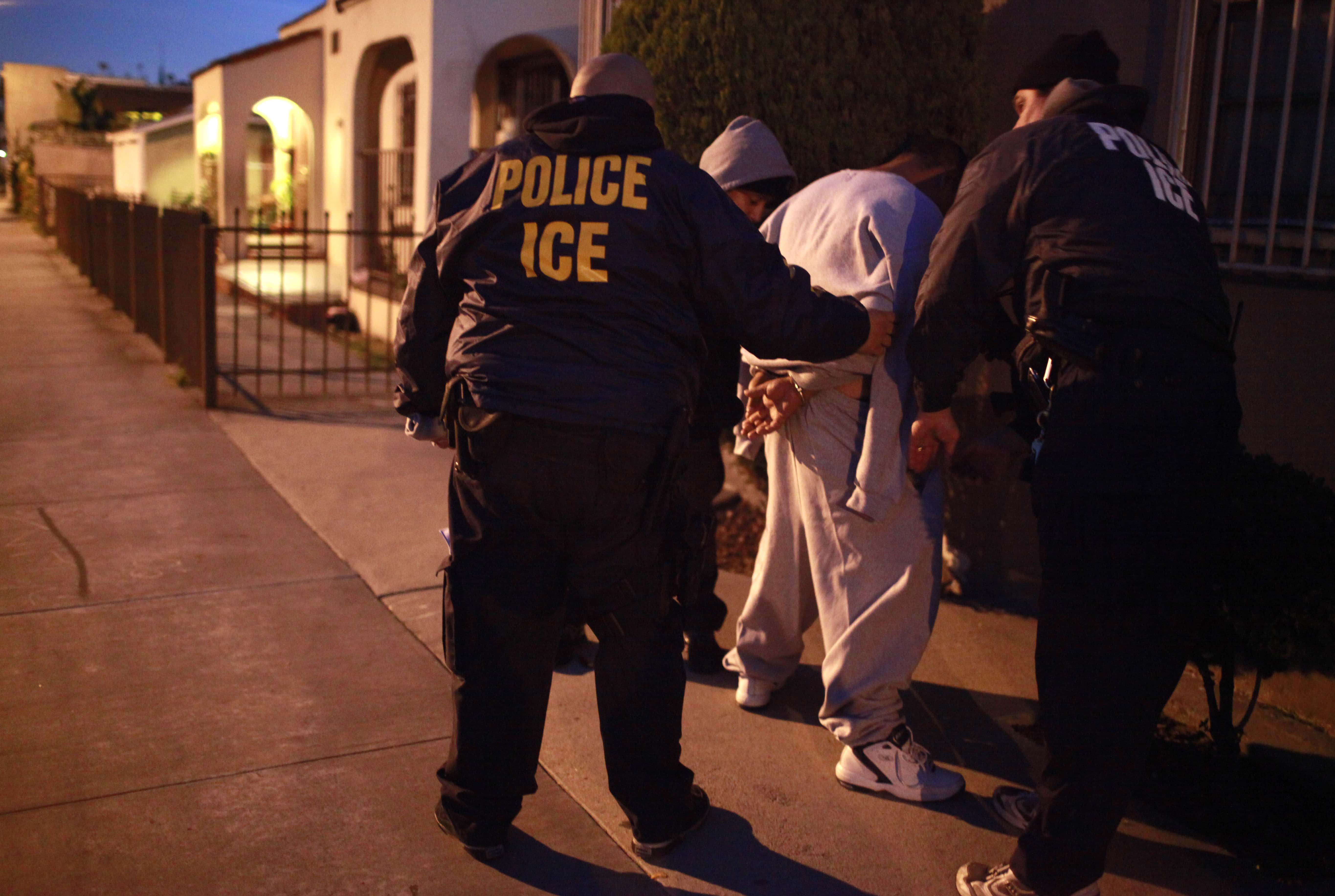 immigration-arrests