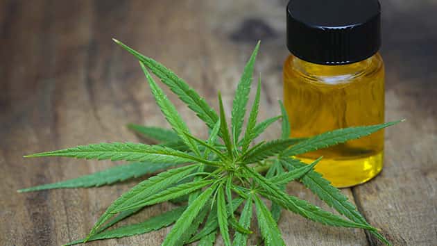 111217_thinkstock_cannabis