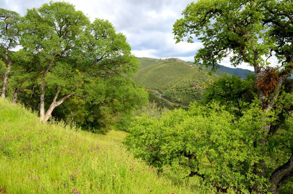 Free State Park Events in Sonoma County - Vimarsana News