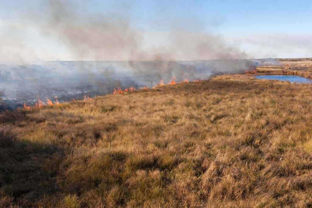 Bill Signed to Encourage More Controlled Burns - Vimarsana News