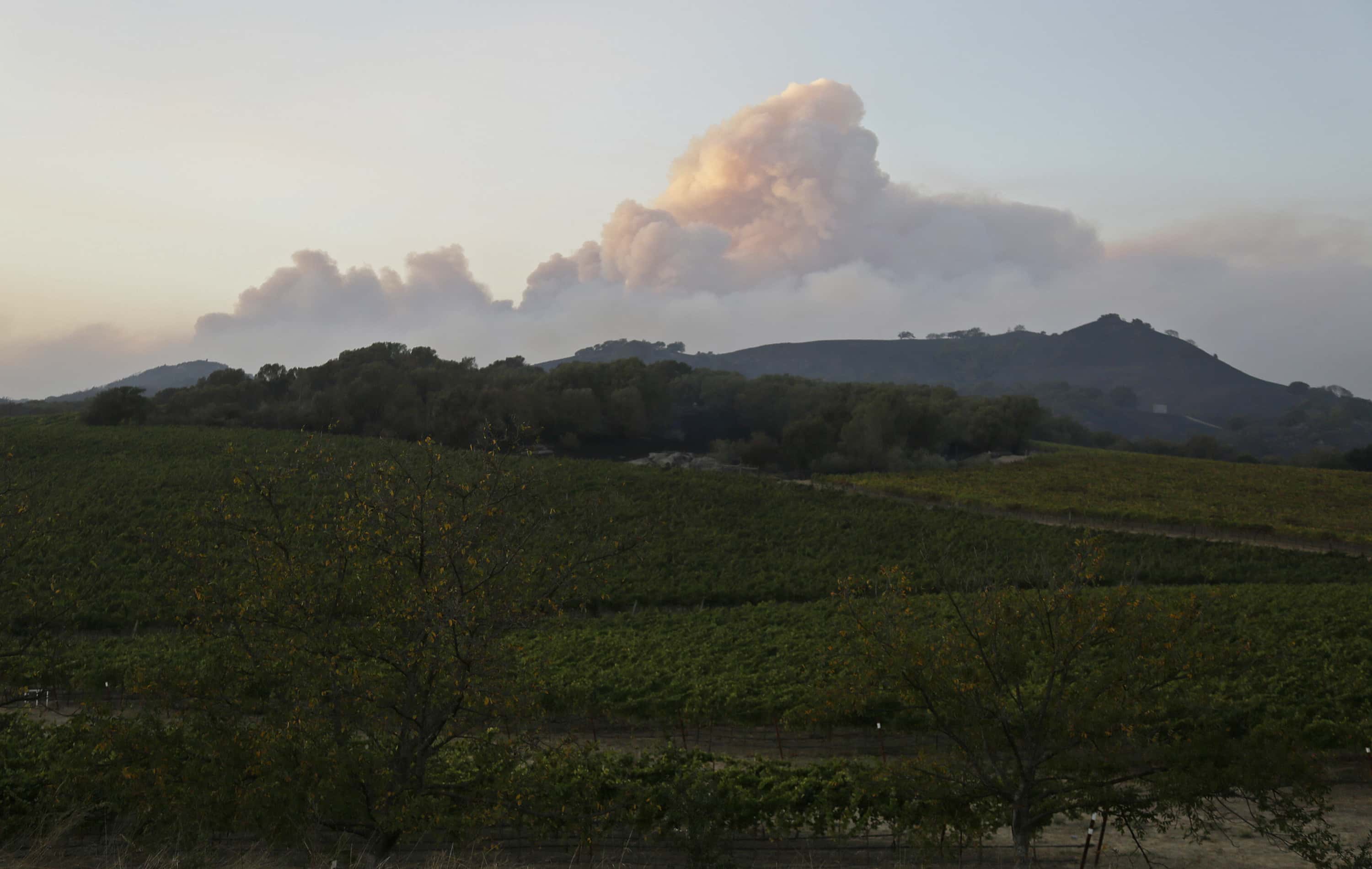 california-wildfires-wine-country