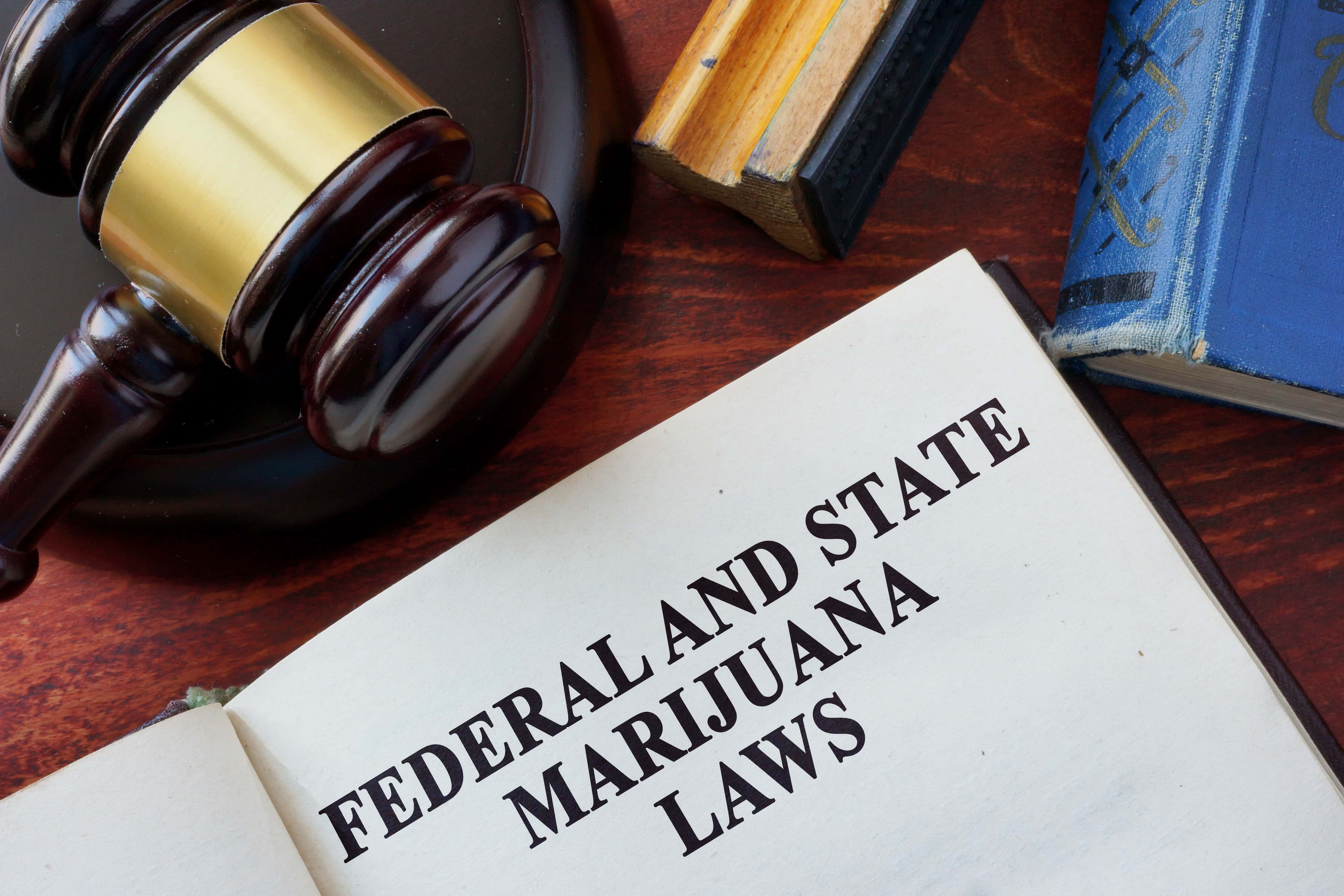 marijuana-laws