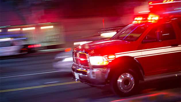 Toddler Dies in Occidental Trailer from a Fallen Tree Caused by the Storm - Vimarsana News
