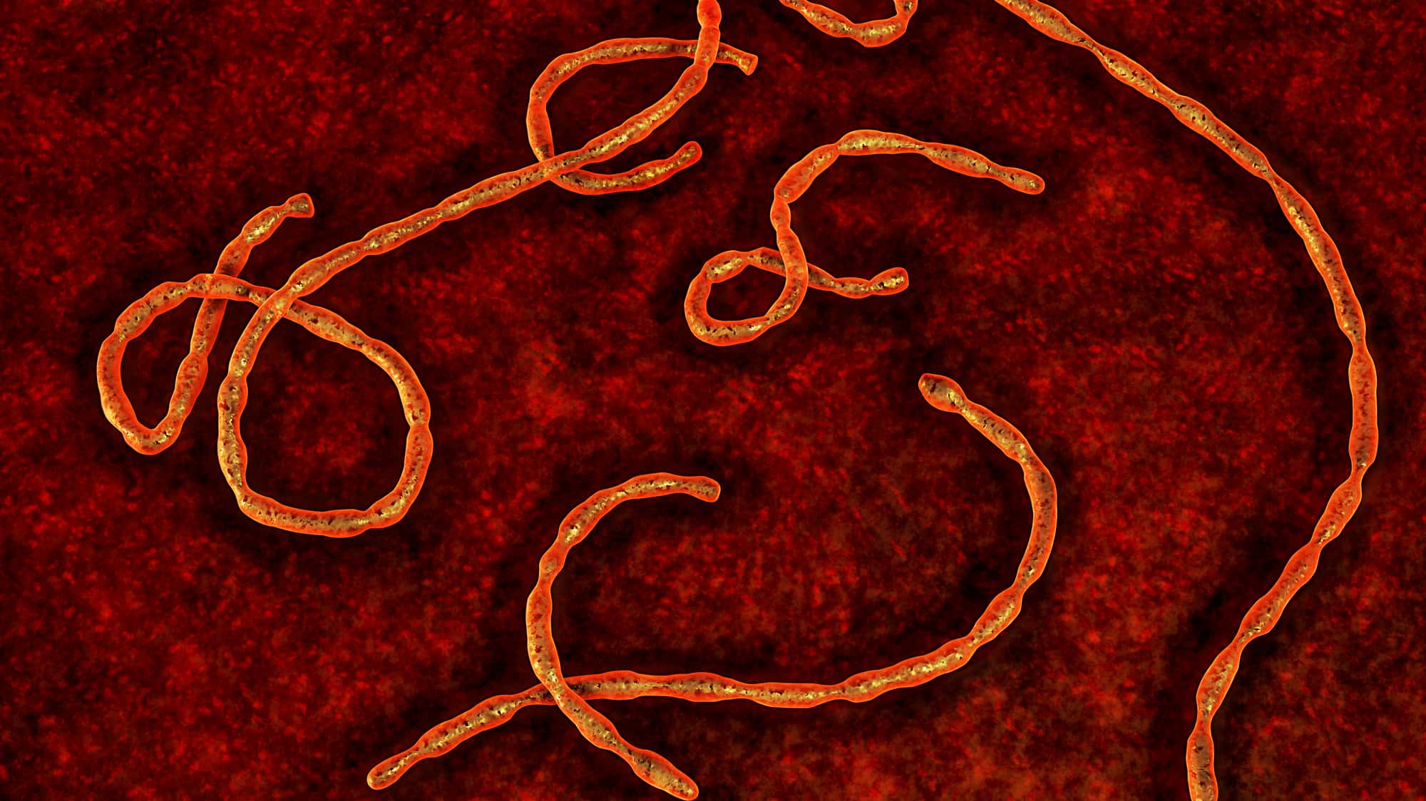 getty_051718_ebola