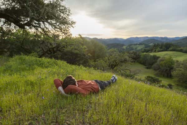 sonoma-county-park-man-on-hill