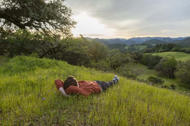 sonoma-county-park-man-on-hill