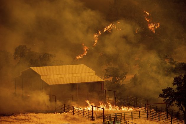 california-wildfires-28
