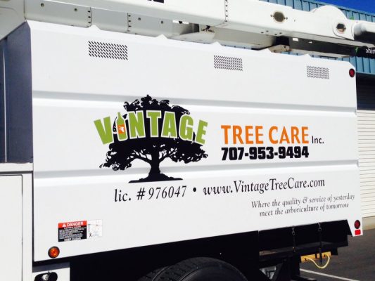 vintage-tree-care