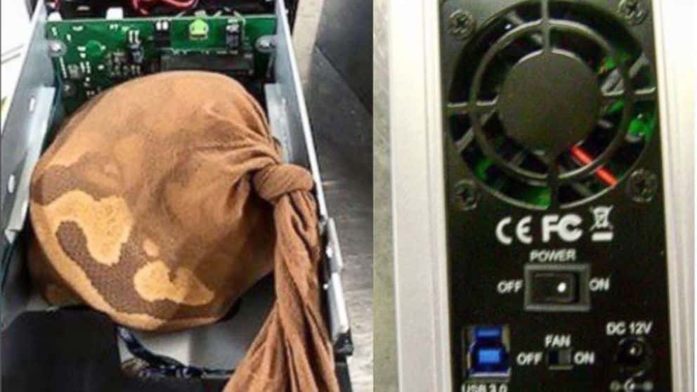 TSA finds python hidden in hard drive, stops real-life 'Snakes on a