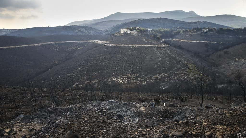 Greek investigators find 'serious indications' of arson in wildfires ...