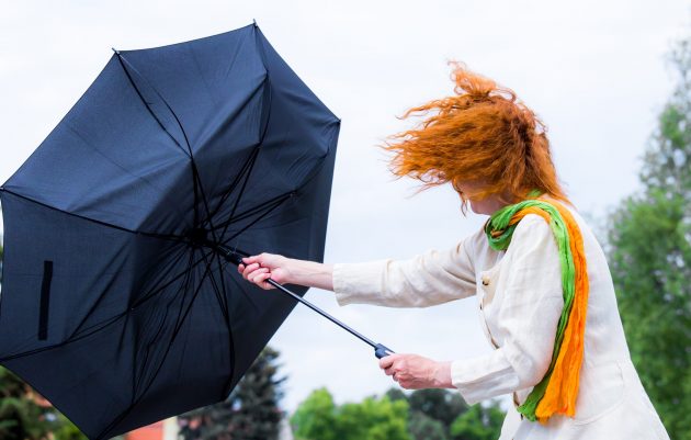 umbrella-in-the-wind