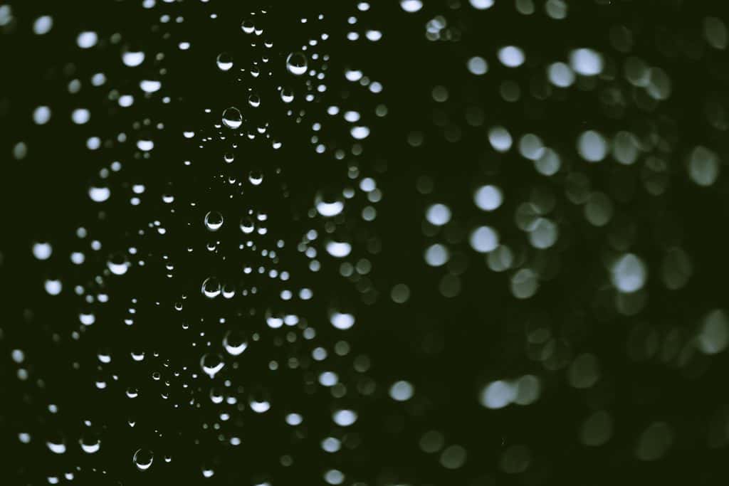Break from the Storms Coming After Wednesday's Rain - Vimarsana News